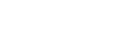 Chauffeur privé Lyon 5
